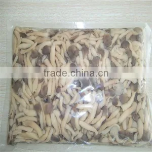 Cultivation Fresh Shimeiji Greenhouse Pleurotus Cornucopiae for Sale Shimegy thumbnail-2