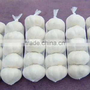 Nuisanceless Dried Pure White Garlic thumbnail-4
