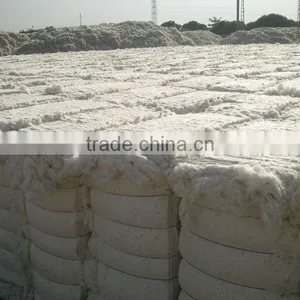 Raw Cotton thumbnail-6