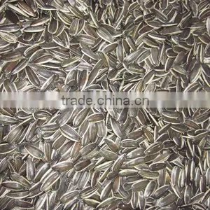 High Quality Sunflower Seeds thumbnail-1