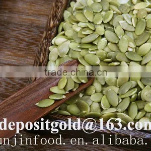 Pumpkin Seeds Price Shine Skin Kernel Grade A thumbnail-1