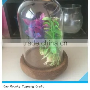 Antique Wooden View Flower Plate With Glass Bell Jars thumbnail-5