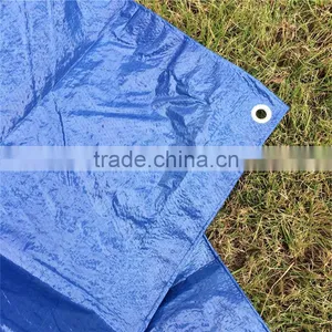High Quality Chinese Factory Tarpaulin Plastic Sheet thumbnail-3