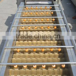 Fruit Vegetable Orange Lemon Brush Roller Washing Machine Washer thumbnail-2