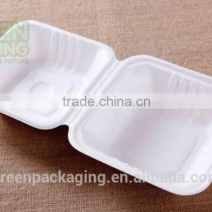 Sugarcane Pulp Biodegradable Box Packaging 6''x6''x3'' Inch B003 thumbnail-2