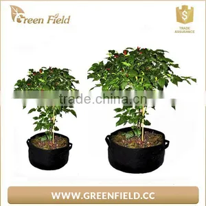 New 2017 Wholesale Polyester Felt Garden Grow Bags 5,10,15,20 Gallon Felt Large Plant Pots thumbnail-5