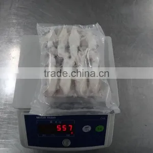 Grade A BQF Baby Squid Loligo Japonica thumbnail-5