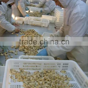 Baby Clam Meat thumbnail-6