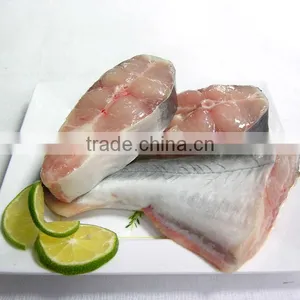 Pangasius Hypophthalmus thumbnail-1