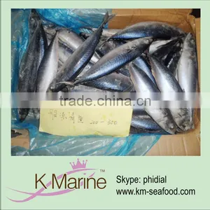 200-300g Sea Frozen Pacific Mackerel wr thumbnail-1