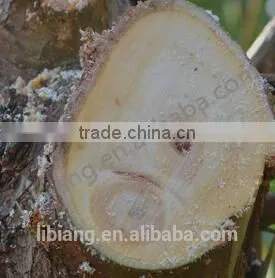 Long Wooden Handle Garden Saw thumbnail-5