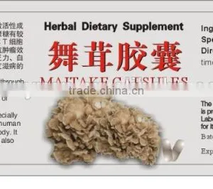 Herbal Dietary Supplement Maitake Mushroom Capsule thumbnail-2