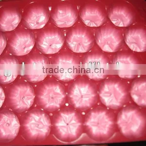 Popular Wholesale USA Mexico Canada High Quality Custom Metric Pet Fruit Tray Liners thumbnail-5
