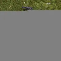 Sell 150cc ATV thumbnail-1
