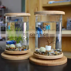 Desktop Eco Bottle Creative Office Tempered Glass Micro Landscape Tank Rotating Bedroom Fish Tank Fish Tank Mini Small thumbnail-3