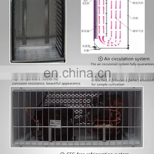 Intelligent Plant Growing Artificial Seed Germination Laboratory Incubators for Sale Thermostat Incubator thumbnail-6