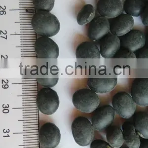 Black Bean With Green Kernel thumbnail-2