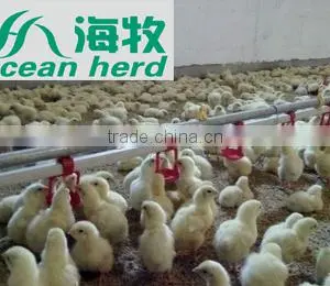 Automatic Poultry Watering System for Chickens thumbnail-5