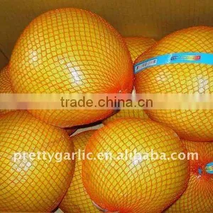 Chinese Fresh Honey Pomelo Crop 2011 thumbnail-1