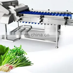 Automatic Double-head Root Removal Machine Scallion Garlic Cabbage Root Cutting Machine thumbnail-2