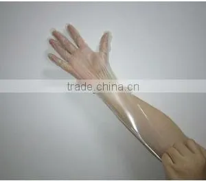 PE Stretch Gloves thumbnail-1