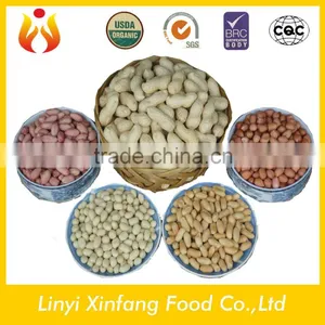 Chinese Best Selling Products New Raw Peanuts Peanut Package Price thumbnail-1