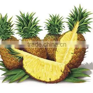 Queen Pineapples Slices in Light Syrup 3100ml x 6tins thumbnail-1