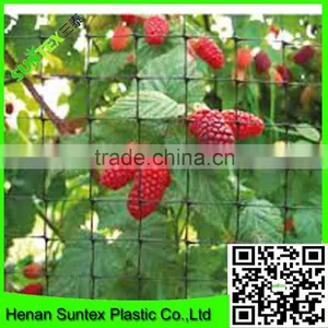 High Quality PE Cultivation Protection Plastic Anti-bird Mesh thumbnail-2