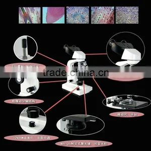 Binocular Microscope/binocular Light Microscope/specular Microscope thumbnail-4