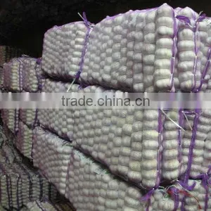 Shandong Garlic thumbnail-2