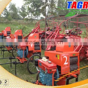 Leaf Cutter Mini Sugarcane Leaf Remove/sugarcane Leaf Remove Machine/sugarcane Leaf Removing Machine 6BZ-5 thumbnail-1