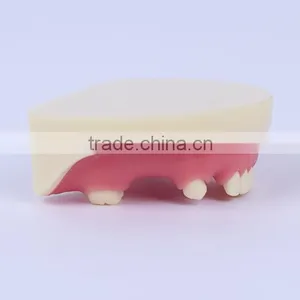 Trade Assurance Hot Dental Implant System CE Approved Dental Implant Model thumbnail-3