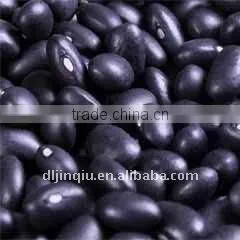 Small Black Kidney Bean thumbnail-1