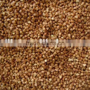 Roasted Buckwheat Kernel New Crop 2011 thumbnail-1