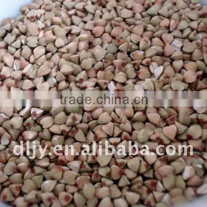 Buckwheat Kernel New Crop 2016 thumbnail-1