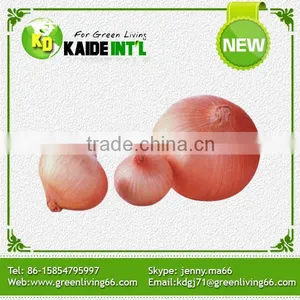 All Normal Sizes Fresh White Onion For Sale thumbnail-1