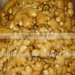 Fresh Vegetable( Carrot ,giner,onion,potato,garlic,taro thumbnail-1