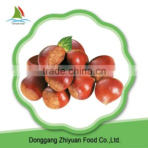 High Quality Best Price New Crop Sweet Frozen Chedtnuts thumbnail-4
