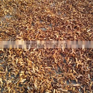 High Quality Atpinia Officnarum Hange thumbnail-1