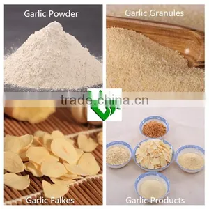 8-16 Mesh Food Seasonings Garlic Granules thumbnail-3