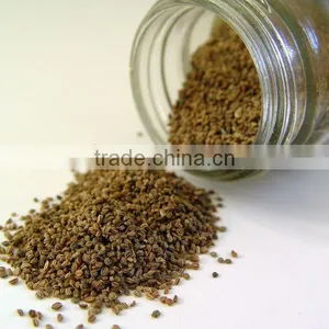 No. 1 Exporter of Celery Seed Essential Oil thumbnail-1
