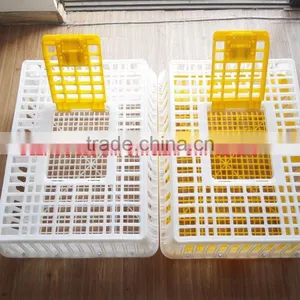 Best Selling Plastic Crate for Chicken Transportation thumbnail-3