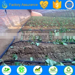 TS Irrigation Green House Drip Irrigation System Saving Water Products Sample thumbnail-1