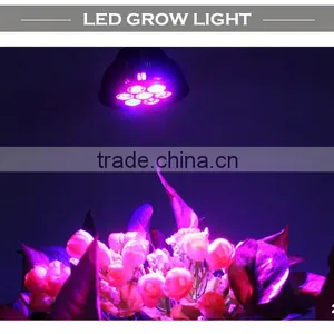 High Quality E27 21W Led Grow Light With CE&RoHS Approved 2 Years Warranty thumbnail-5
