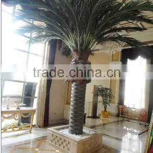 Brand Name Artificial Date Palm Tree Fiberglass Tree Sale Fake Tree Indoor Decoration thumbnail-4
