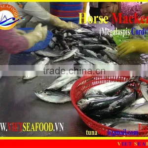FRESH RAM MATERIALS W/R HORSE MACKEREL thumbnail-1