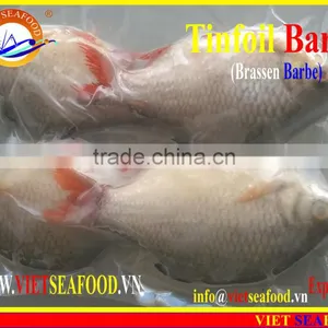 FROZEN W/R RED TAIL TINFOIL BARB thumbnail-2