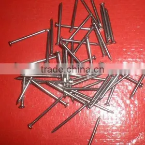 Panel Pins in Nails thumbnail-1