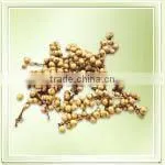 Canella Bunch thumbnail-1