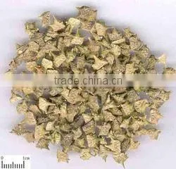 TRIBULUS TERRISTRIS thumbnail-4
